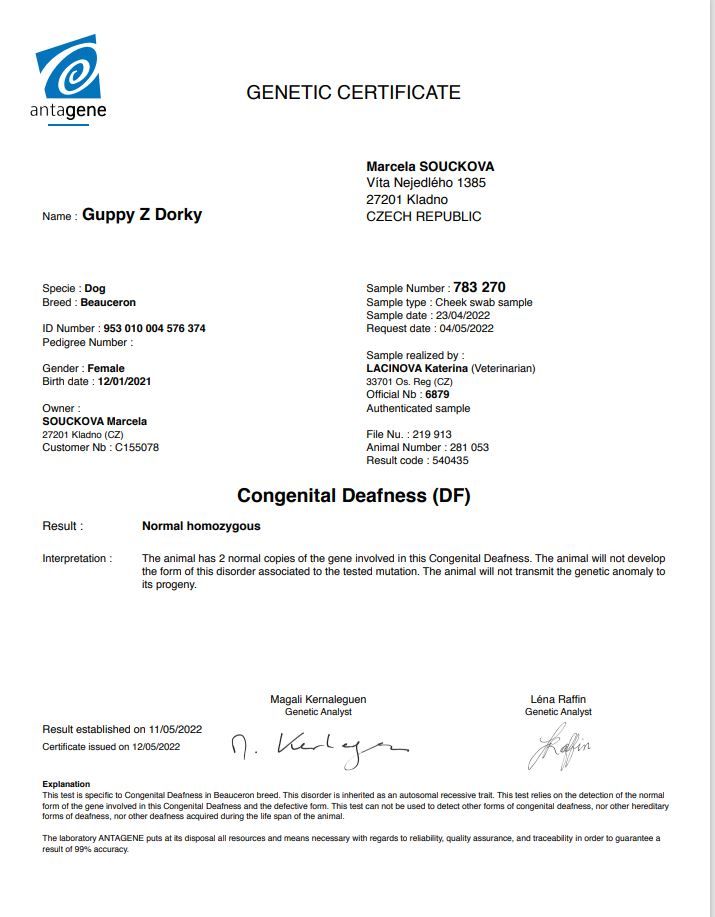 Dorky - DF certificate