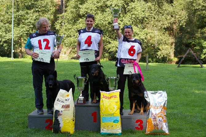 Dorky - Championship of trecking